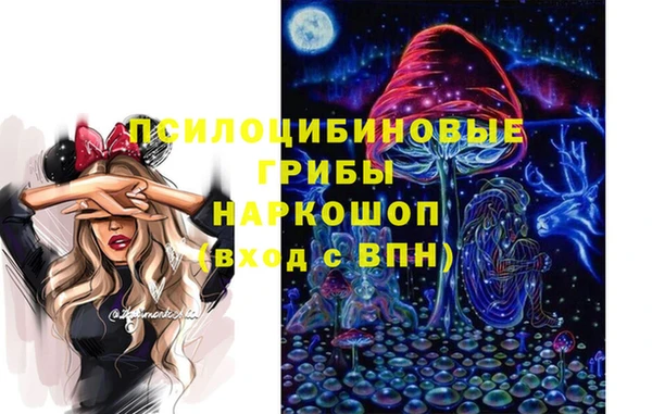 гидропоника Абаза