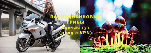 гидропоника Абаза