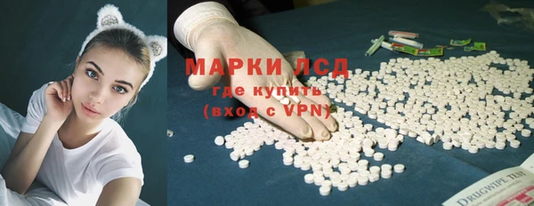 прущий лед Алзамай